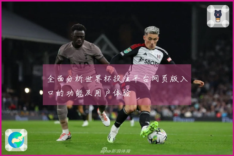 全面分析世界杯投注平台网页版入口的功能及用户体验