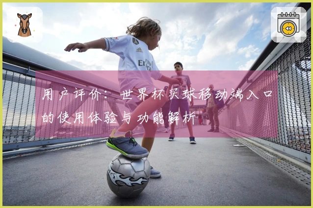 用户评价：世界杯买球移动端入口的使用体验与功能解析