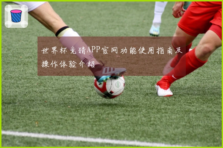 世界杯竞猜APP官网功能使用指南及操作体验介绍