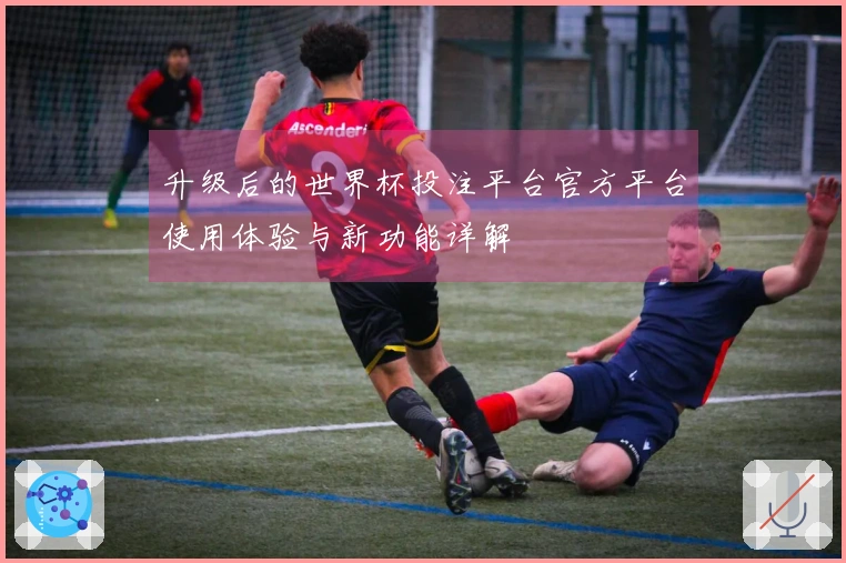 升级后的世界杯投注平台官方平台使用体验与新功能详解