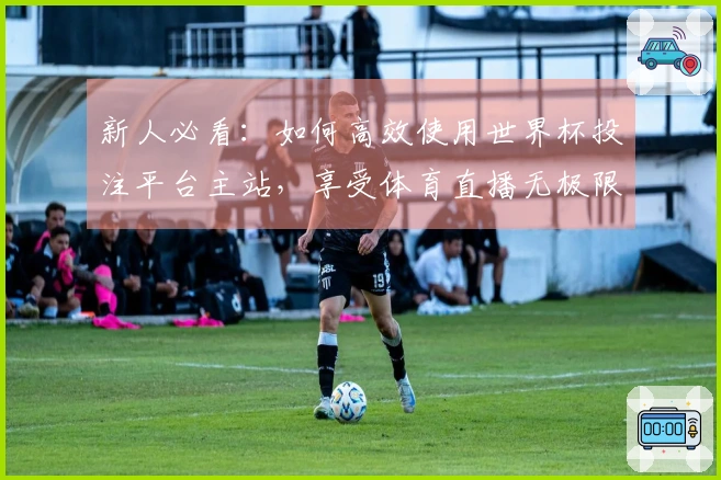 新人必看：如何高效使用世界杯投注平台主站，享受体育直播无极限