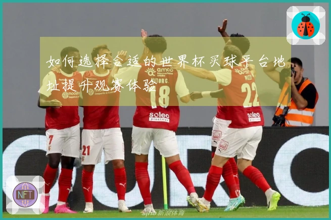 如何选择合适的世界杯买球平台地址提升观赛体验