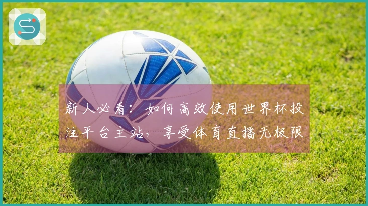 新人必看:如何高效使用世界杯投注平台主站,享受体育直播无极限