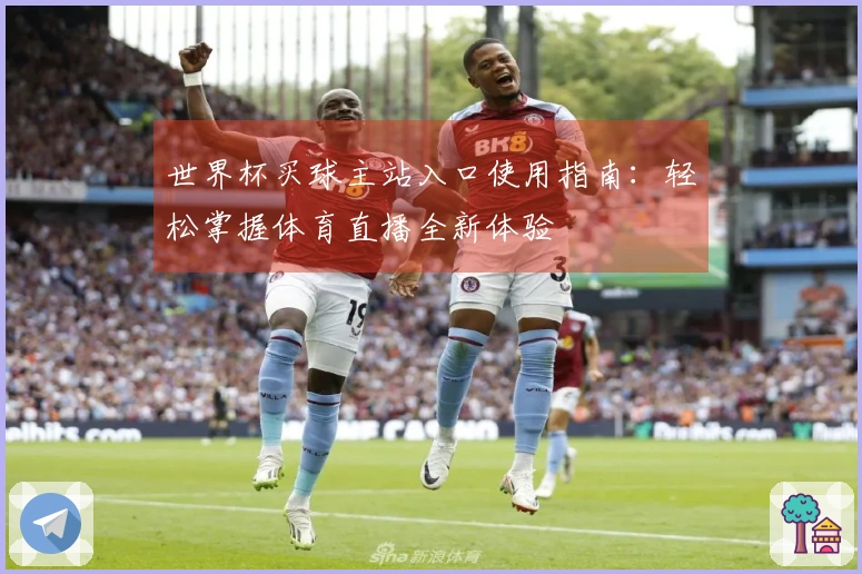 世界杯买球主站入口使用指南：轻松掌握体育直播全新体验