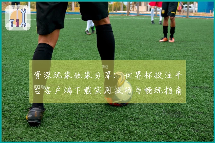 资深玩家独家分享：世界杯投注平台客户端下载实用技巧与畅玩指南