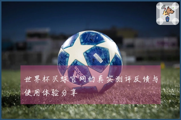 世界杯买球官网的真实测评反馈与使用体验分享
