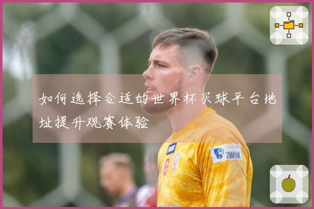如何选择合适的世界杯买球平台地址提升观赛体验
