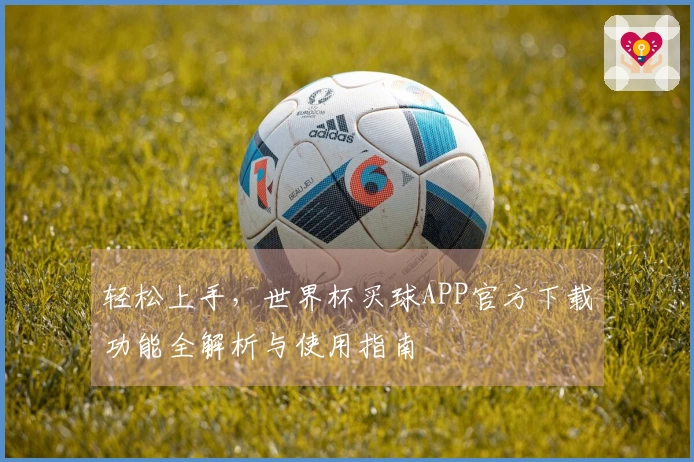 轻松上手，世界杯买球APP官方下载功能全解析与使用指南