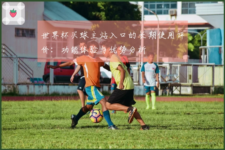 世界杯买球主站入口的长期使用评价：功能体验与优势分析