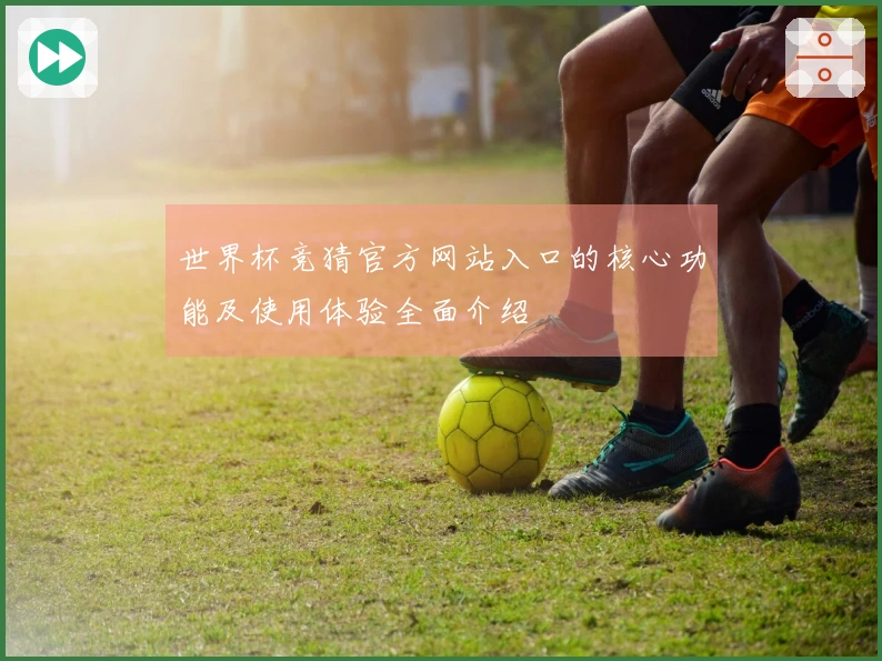 世界杯竞猜官方网站入口的核心功能及使用体验全面介绍