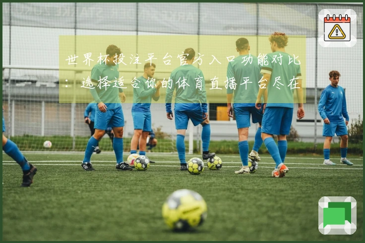 世界杯投注平台官方入口功能对比：选择适合你的体育直播平台尽在其中