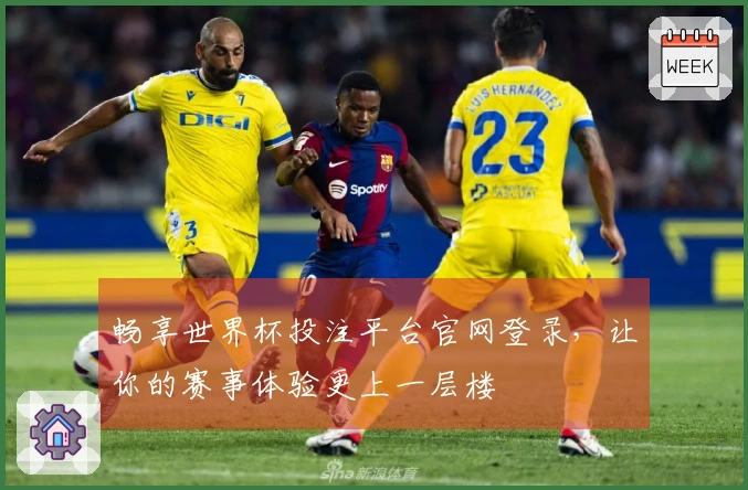 畅享世界杯投注平台官网登录，让你的赛事体验更上一层楼
