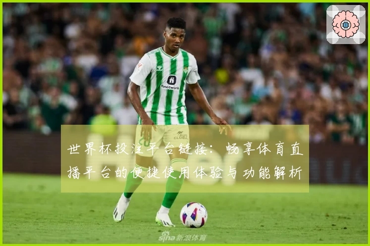 世界杯投注平台链接：畅享体育直播平台的便捷使用体验与功能解析